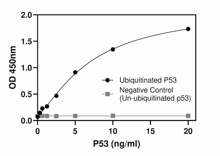 Ubiquitinated p53 Quantitative ELISA Kit