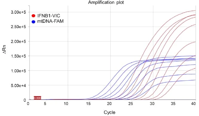 Human Absolute Mitochondrial DNA Copy Number Quantification Kit