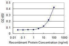 Anti-EFNA3 Antibody