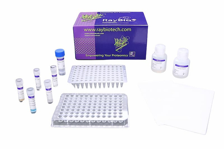 NexaTag® Human HNMT qIPCR ELISA Kit