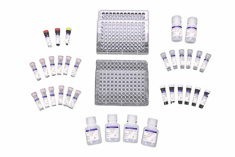 RayPlex® Human Cytokine Magnetic Bead Array (175-Plex)