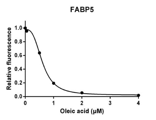 Recombinant Human E-FABP Protein