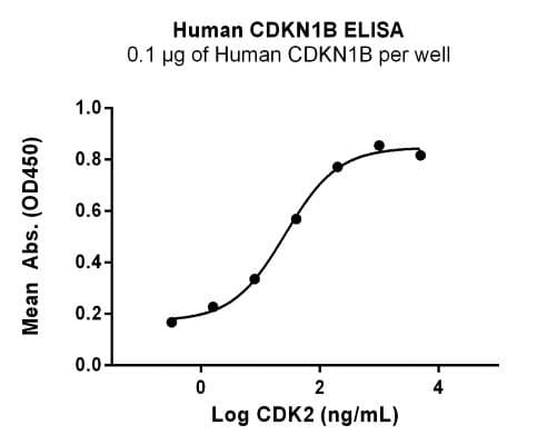 Recombinant Human CDKN1B Protein