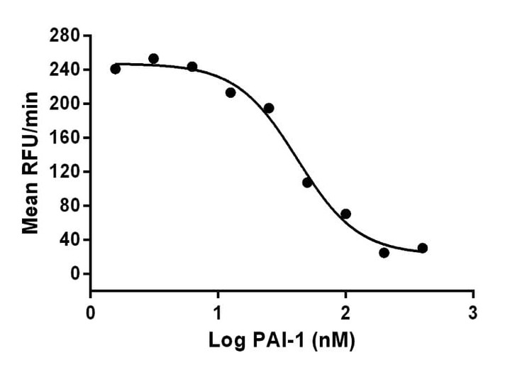 Recombinant Human PAI-1 (Serpin E1) Protein