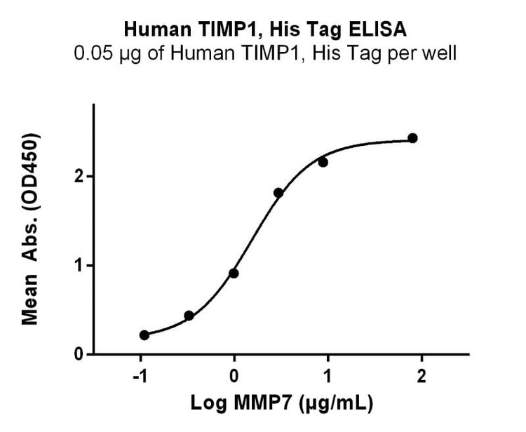 Recombinant Human TIMP-1 Protein