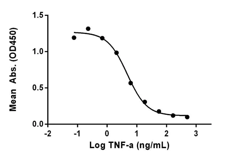 Recombinant Human TNF alpha Protein