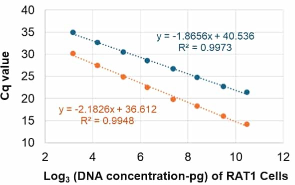 Rat Mitochondrial DNA Damage Quantification Kit