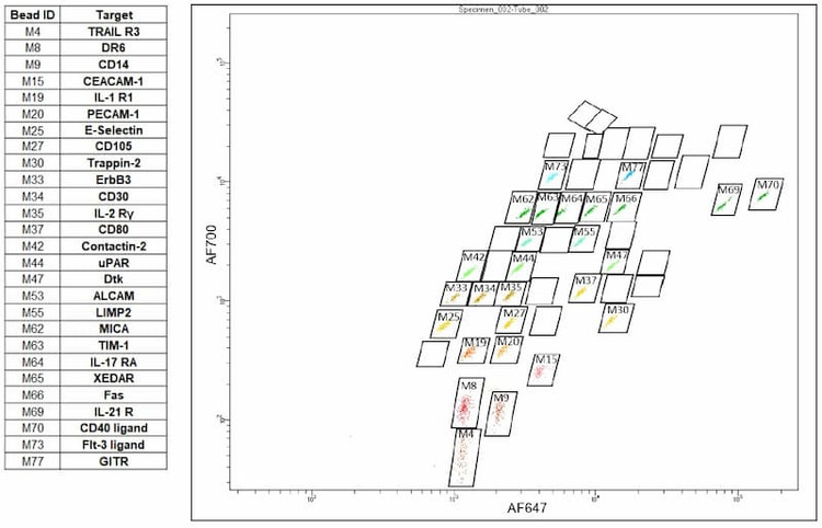 RayPlex® Human Receptor Magnetic Bead Array (27-Plex)