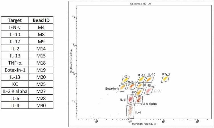 RayPlex® Rat Inflammation Magnetic Bead Array (12-Plex)
