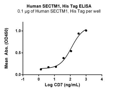 Recombinant Human K-12 Protein, Extracellular Domain