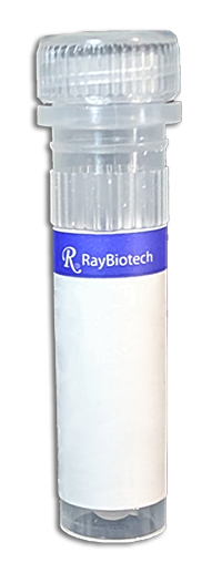 RT-LAMP Fluorescent Master Mix