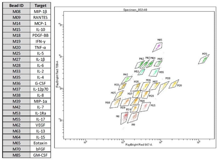 RayPlex® Human Cytokine Storm Magnetic Bead Array (25-Plex)