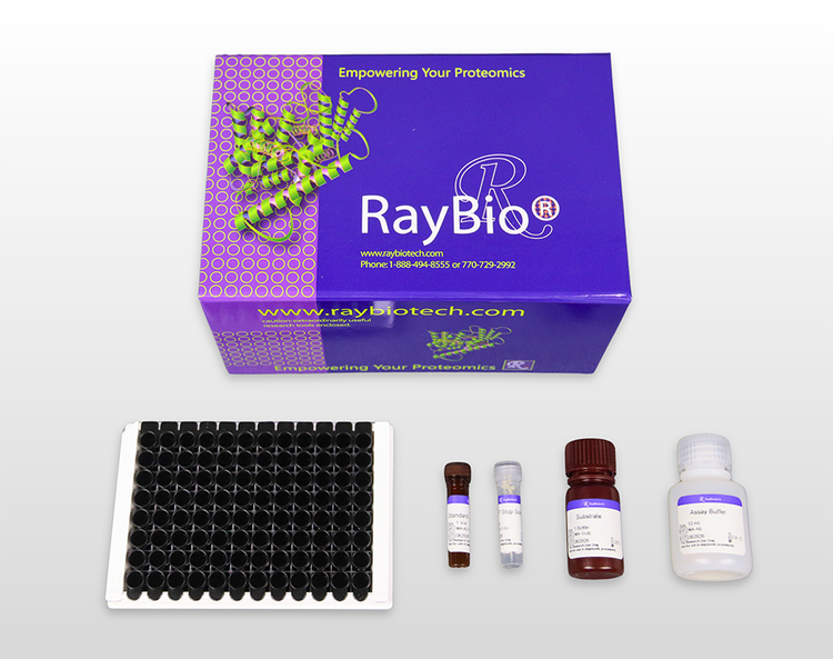 Beta-Glucuronidase Activity Assay Kit