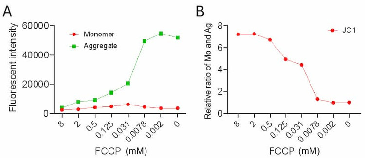 The individual fluorescent intensities and the ratio of monomers and aggregates in HeLa cells cultured in a 96-well plate.