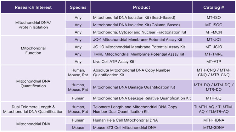 JC-1 Mitochondrial Membrane Potential Assay Kit