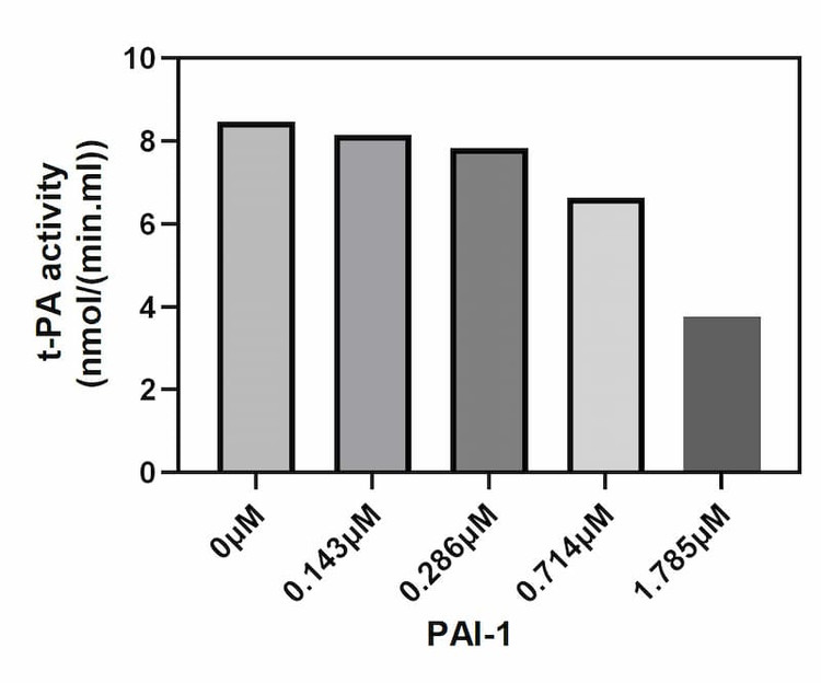 Inhibition of tPA activity by Plasminogen activator inhibitor 1.