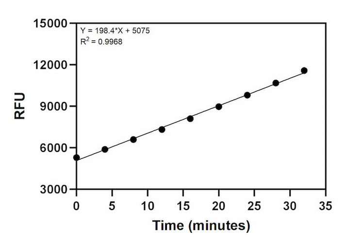 Cathepsin B positive control activity over time.