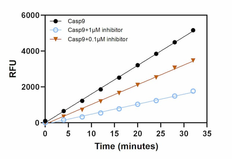 Cleavage signal of Caspase 9 (200 ng) with different concentrations of inhibitor (Ac-LEHD-cmk).