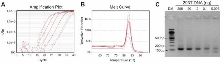 Performance evaluation of the SYBR Green qPCR Mix shows high sensitivity, specificity, and reproducibility across a wide dynamic range.
