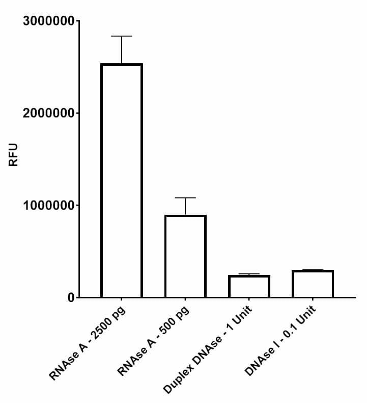 The single-stranded RNA probe demonstrated strong resistance to degradation by DNAse enzymes.