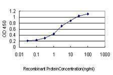 Anti-EPHB4 Antibody