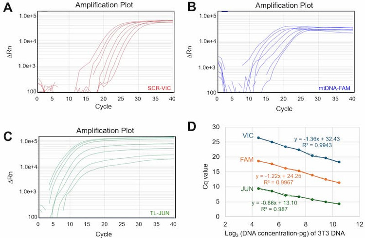 Example curves of VIC, FAM and JUN amplification.