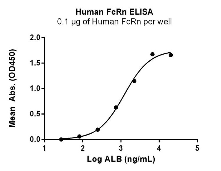 Recombinant Human FcRn Protein