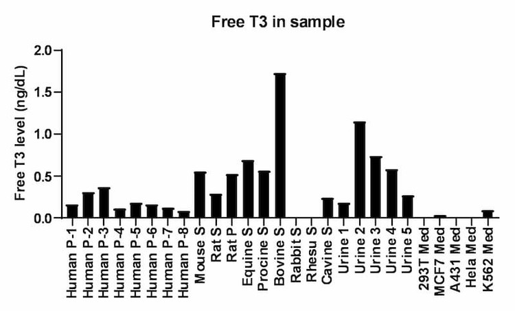 The concentrations of free T3 in various species samples (S, serum; P, plasma; Med, medium; U, urine).