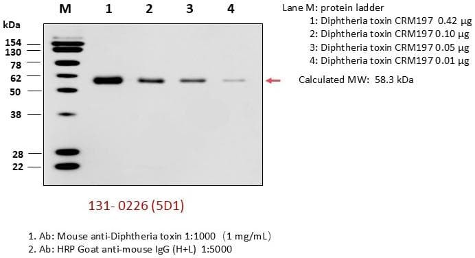 Anti-Diphtheria Toxin