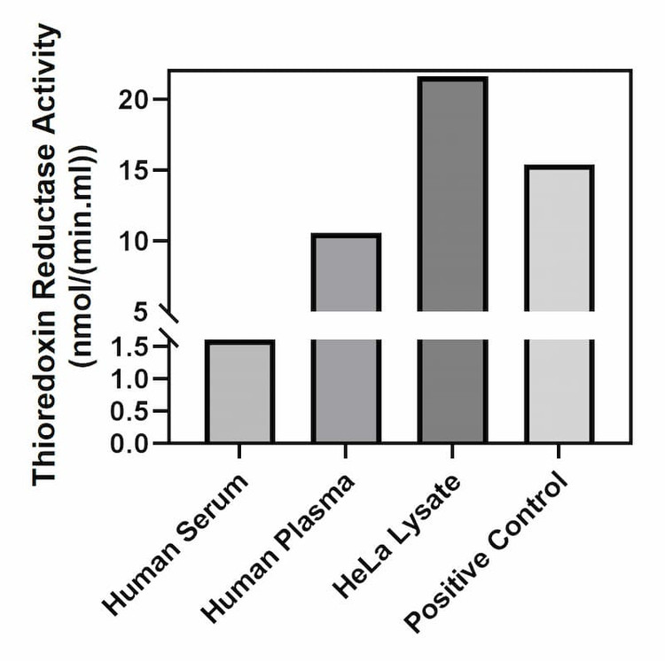 Thioredoxin Reductase activity of human serum, human plasma, HeLa lysate, and positive control.