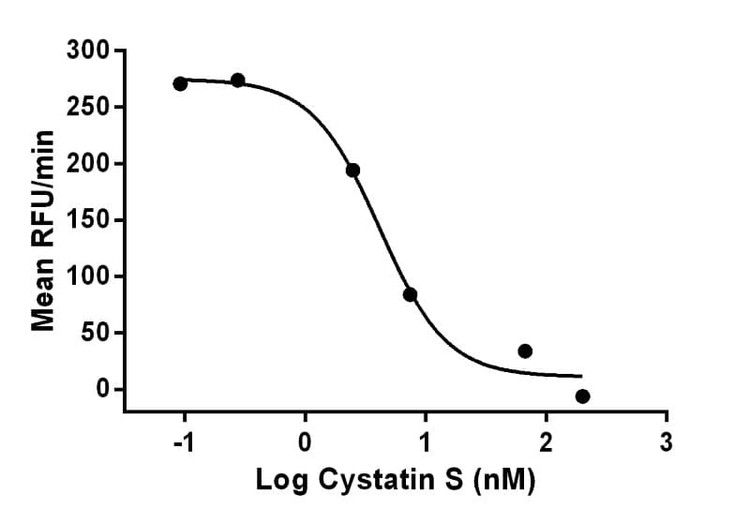 Recombinant Human Cystatin-S Protein, Biotinylated