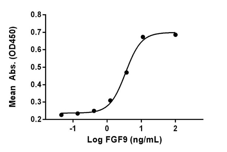 Recombinant Human FGF-9 Protein, Biotinylated
