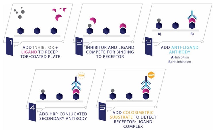 Human IgG Fc Receptor II-A (FcγRIIA) / IgG Ligand Binding Assay Kit