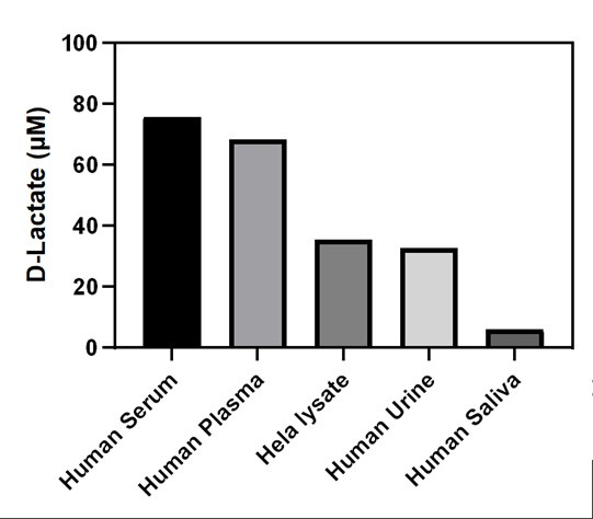 D-Lactate level in different sample types.
