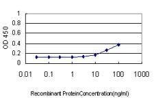 Anti-FASLG Antibody
