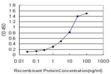 Anti-FBXO8 Antibody