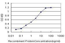 Anti-FCGR2A Antibody
