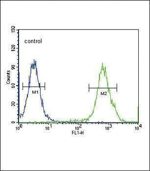 Anti-VEGFC Antibody