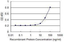 Anti-FPR2 Antibody