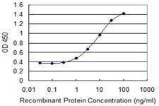 Anti-FUT5 Antibody