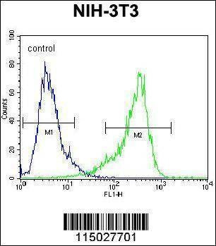 Anti-CYP26A1 (C-term) Antibody