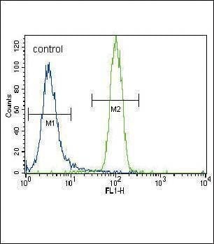 Anti-HNF4A (Center) Antibody