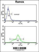 Anti-ENOA (C-term) Antibody