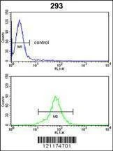 Anti-PSMD13 (C-term) Antibody