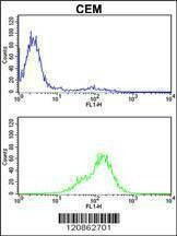 Anti-TPI1 (C-term) Antibody