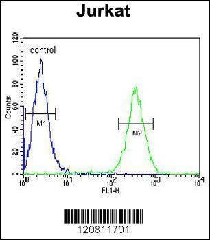 Anti-HNRPL (Center) Antibody