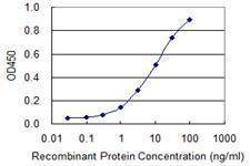 Anti-GH2 Antibody