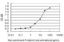 Anti-GHRL Antibody