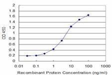 Anti-GLRA1 Antibody