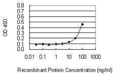 Anti-GREM2 Antibody